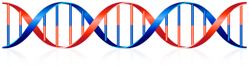 Dubbele DNA Helix WeAre Playground Earth - DNA Helix